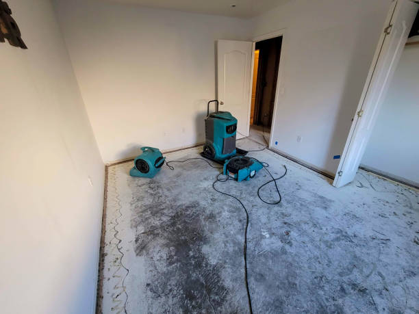 Best Local water damage restoration  in Riviera Beach, FL