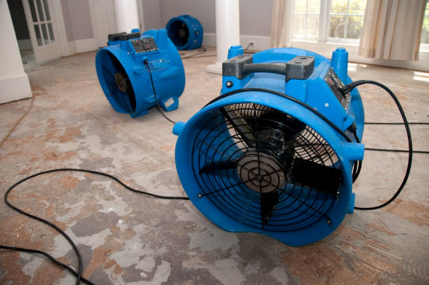 Best Flooded house restoration  in Riviera Beach, FL