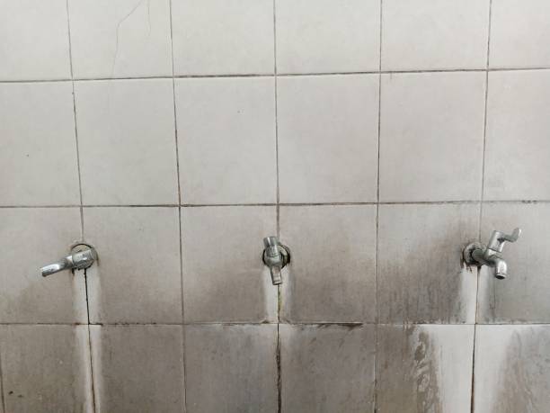 Best Water damage restoration near me  in Riviera Beach, FL