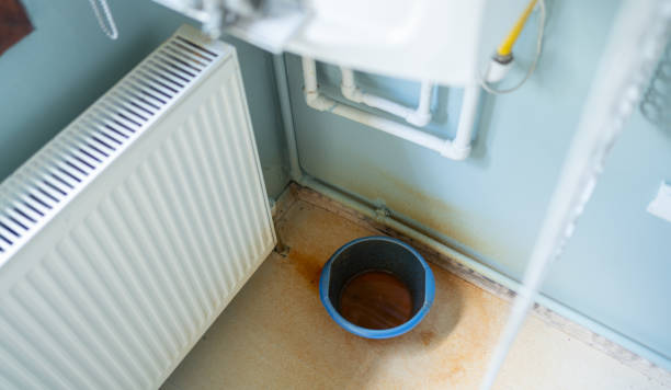 Best Water damage restoration near me  in Riviera Beach, FL