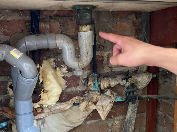 Reliable Riviera Beach, FL Water damage restoration Solutions